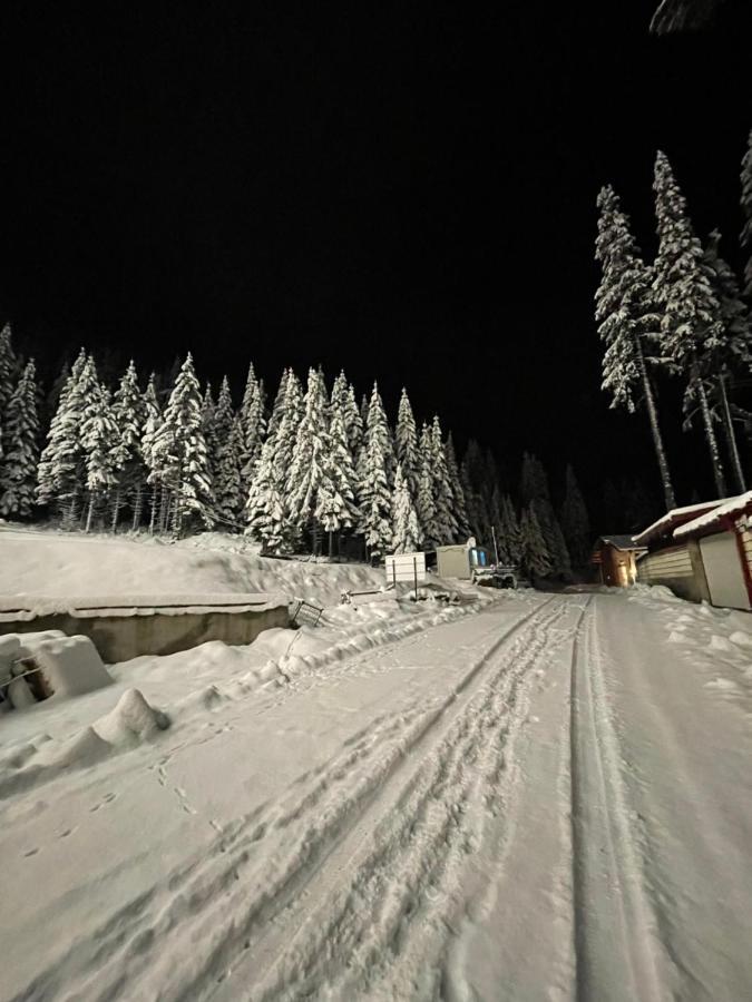 Cozy Apartment B35 In Grand Resort Pamporovo Extérieur photo