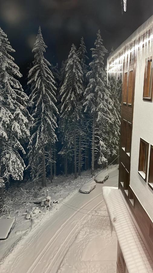 Cozy Apartment B35 In Grand Resort Pamporovo Extérieur photo