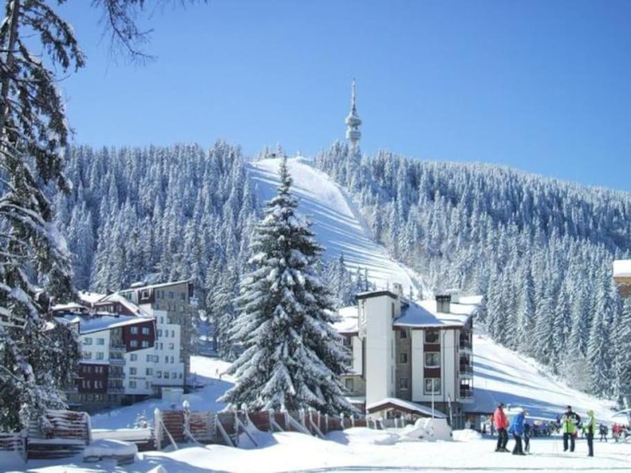 Cozy Apartment B35 In Grand Resort Pamporovo Extérieur photo