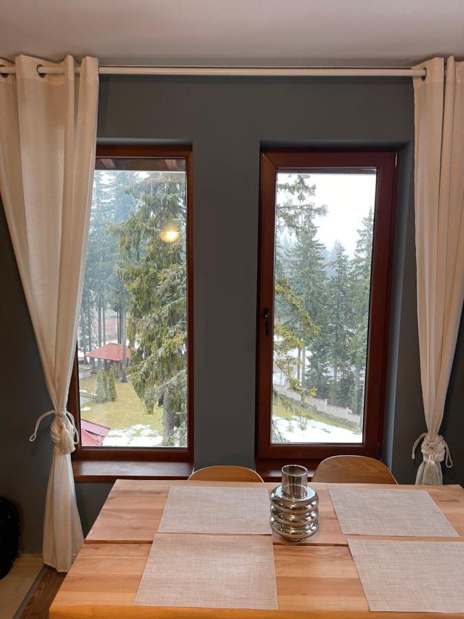 Cozy Apartment B35 In Grand Resort Pamporovo Extérieur photo
